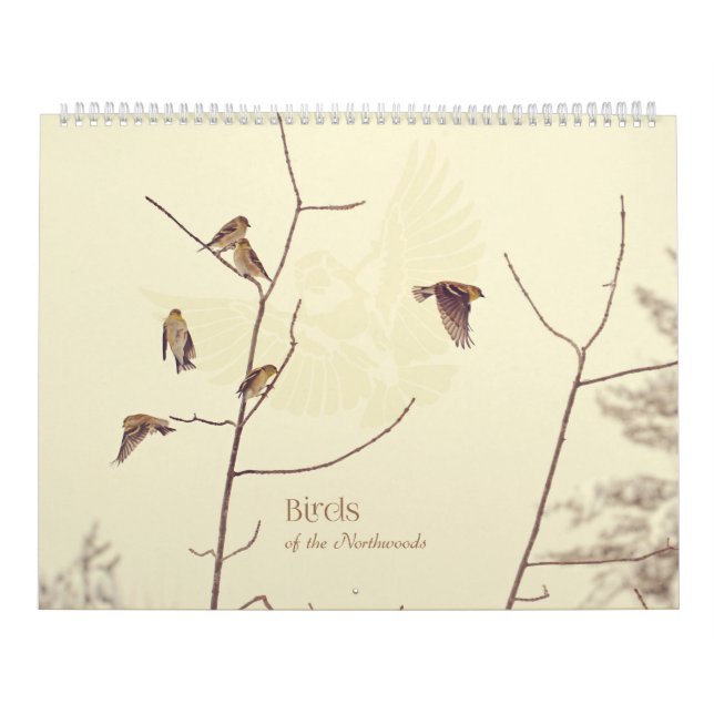 Fåglar av den Northwoods kalendern Kalender (Omslag)