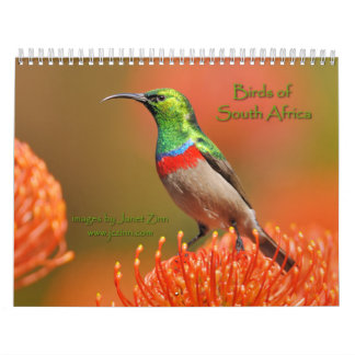 Fåglar av den Sydafrika kalendern Kalender