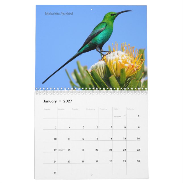 Fåglar av den Sydafrika kalendern Kalender (Jan 2027)