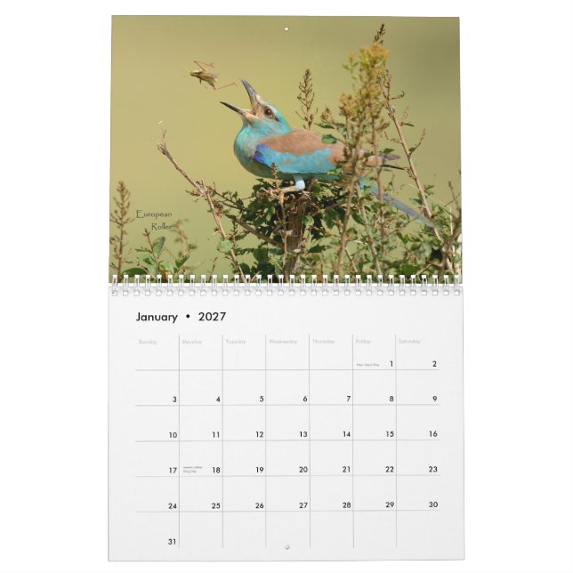 Fåglar av den Tanzania kalendern Kalender (Jan 2027)