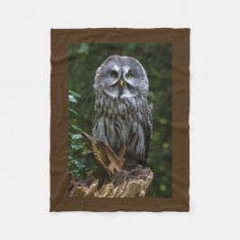 Fåglar av den underbara grå färgugglan för rovet fleecefilt