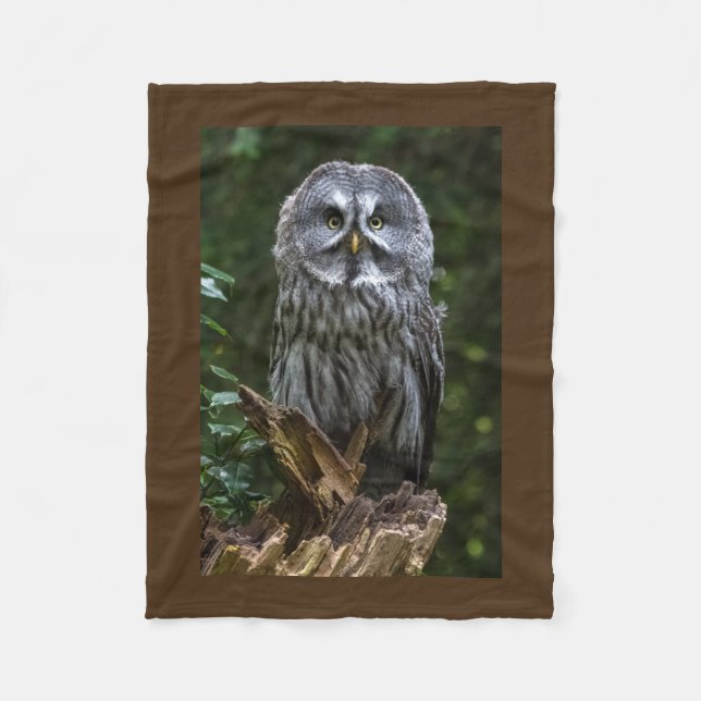 Fåglar av den underbara grå färgugglan för rovet fleecefilt (Framsidan)