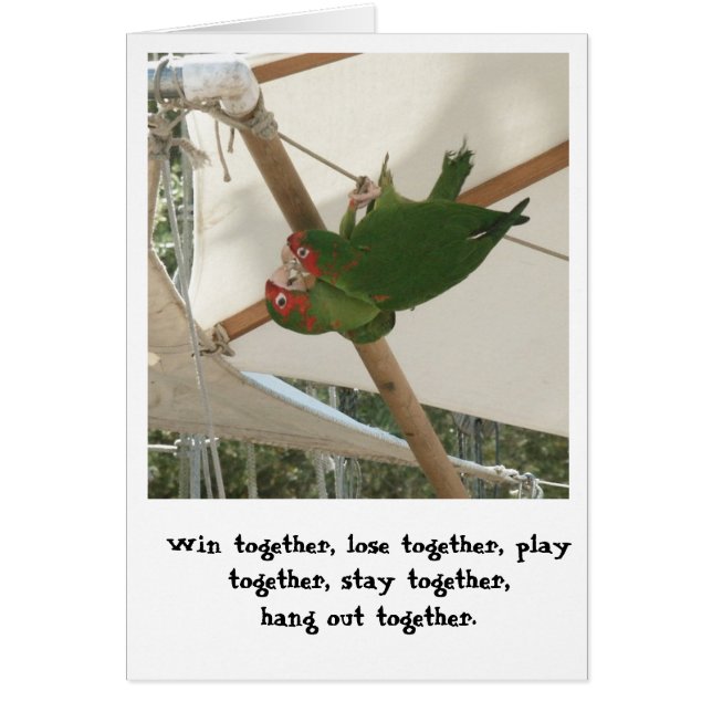 Fåglar av en fjäder hälsningskort (Framsidan)