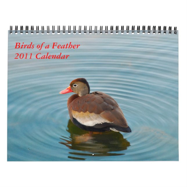 Fåglar av en fjäder kalender (Omslag)