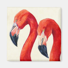 Fåglar av en ludd - Underbarare Flamingos Magnet
