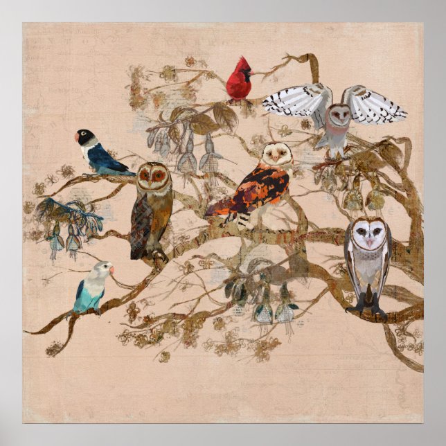 FÅGLAR AV ETT FJÄDERBAND GREN Poster (Framsidan)