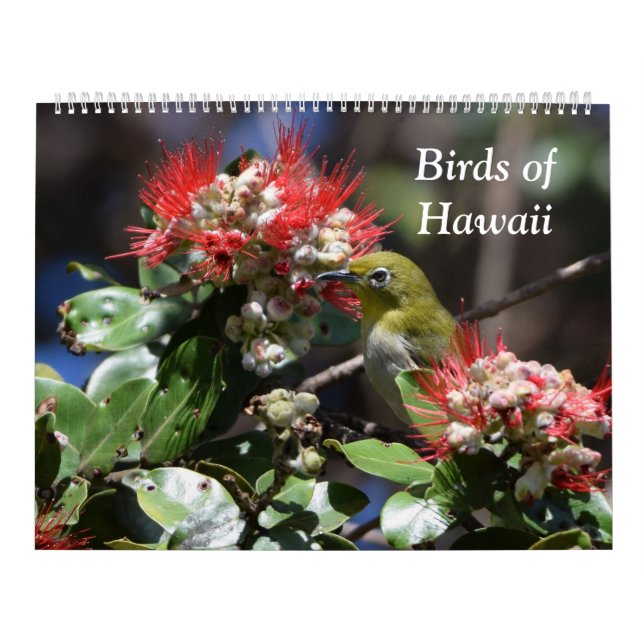 Fåglar av Hawaii Kalender (Omslag)