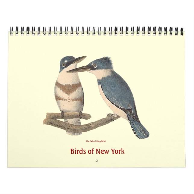Fåglar av New York Lithograph Kalender (Omslag)