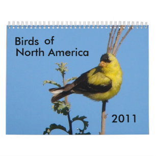 Fåglar av Nordamerika 2011 Kalender