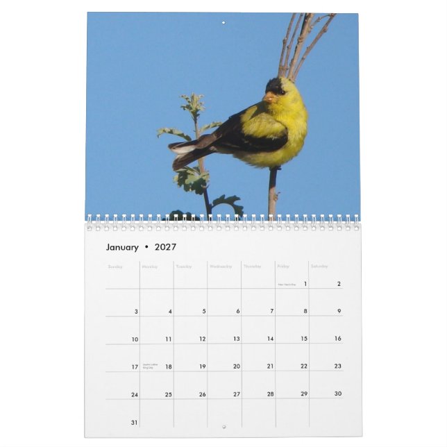 Fåglar av Nordamerika 2011 Kalender (Jan 2027)
