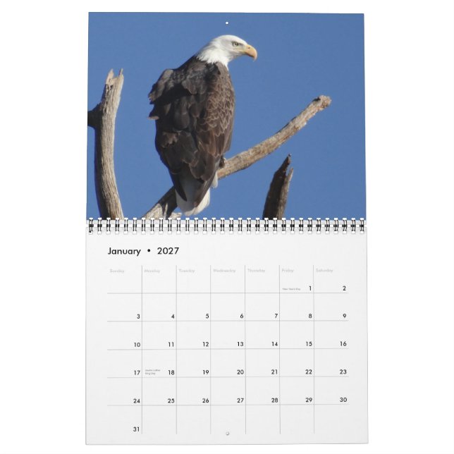 Fåglar av Nordamerika - 2015 Kalender (Jan 2027)