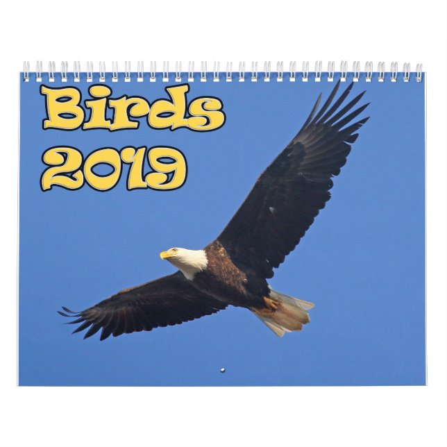 Fåglar av nordost kalender (Omslag)