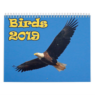 Fåglar av nordost kalender