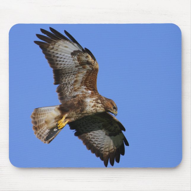 Fåglar av rovet Mousemats Musmatta (Framsidan)