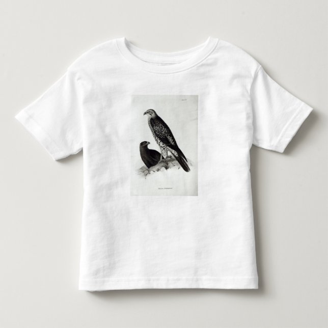 Fåglar av rovet t-shirt (Framsida)
