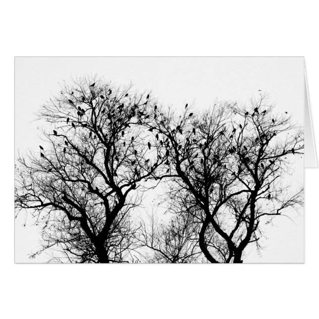 Fåglar av vintern hälsningskort (Framsidan Horizontal)