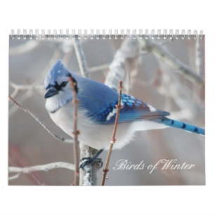Fåglar av vintern kalender