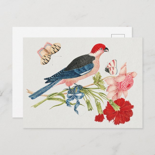 Fåglar, blommor och fjärilar från 1800-talets Vint Vykort (Fram/baksida)