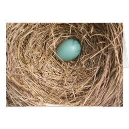 Fåglar bygga bo (West Virginia) OBS Kort