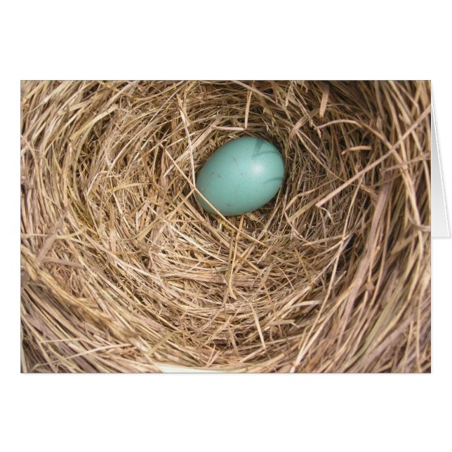 Fåglar bygga bo (West Virginia) OBS Kort (Framsidan Horizontal)