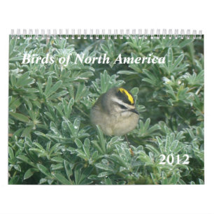 Fåglar Calendar 2012 Kalender