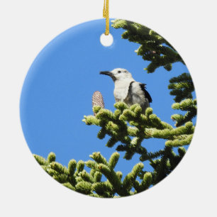 Fåglar, Clarks Nutcracker, vilda djur, prydnadsv Julgransprydnad Keramik