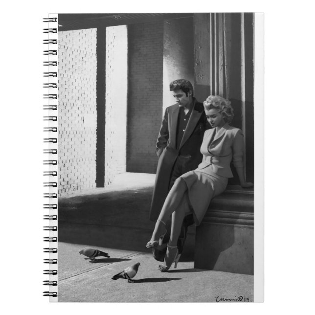 Fåglar CON19BWD1 av en Feather.tif Anteckningsbok (Framsidan)