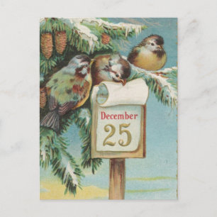 Fåglar den 25 december helg vykort