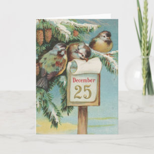 Fåglar den 25 december helgkort