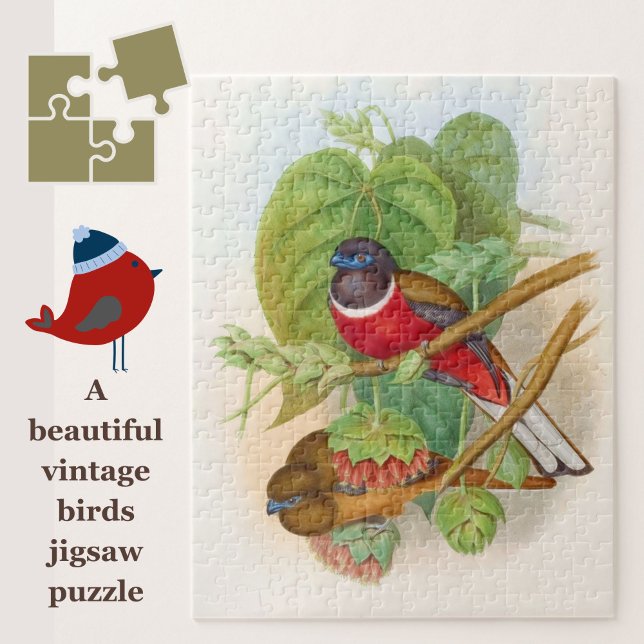 Fåglar Färgfull Vintage Illustration Pussel (A beautiful vintage birds jigsaw for puzzle lovers!)