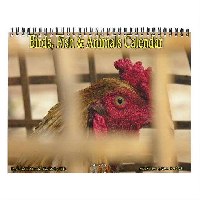 Fåglar, fisk och andra exotiska djur kalender (Omslag)