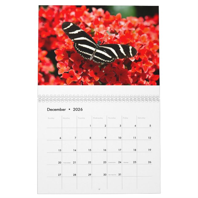 Fåglar, fjärilar och blomsterkalender kalender (Dec 2026)