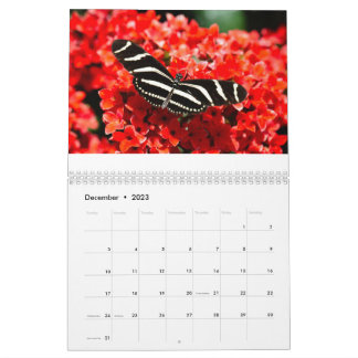 Fåglar, fjärilar och blomsterkalender kalender