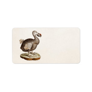 Fåglar för Dodo för 1700s för illustration fö Adressetikett