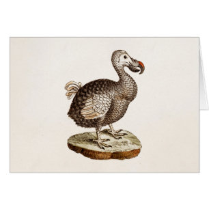 Fåglar för Dodo för 1700s för illustration fö OBS Kort