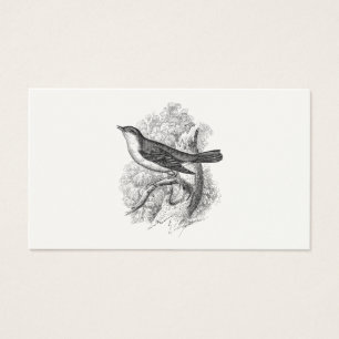 Fåglar för illustration för fågel för visitkort