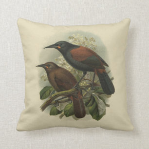 Fåglar för vintagevetenskap NZ - Saddleback Kudde