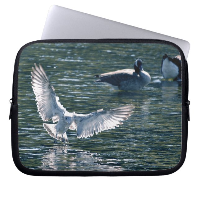 Fåglar från World Wildlife Collection Laptop Sleeve (Framsidan)