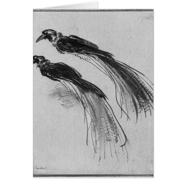 Fåglar Hälsningskort (Framsidan)