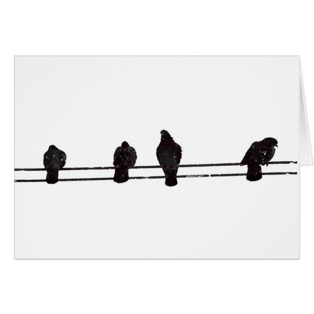 Fåglar Hälsningskort (Framsidan Horizontal)