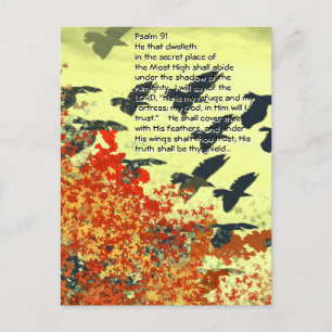 Fåglar Han skall täcka dem med sina fjädrar. Vykort