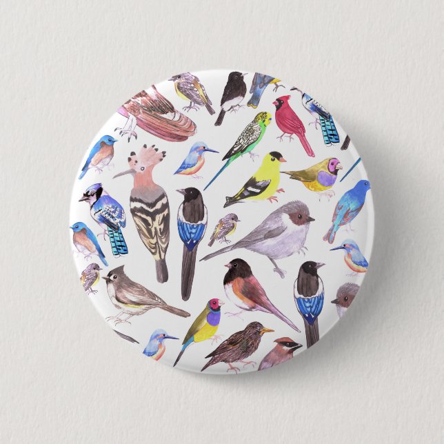 Fåglar i Amerika - sällskapsdjur och vild fåglar Knapp (Framsida)