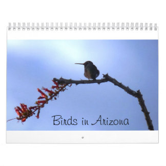 Fåglar i Arizona Kalender