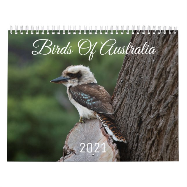 Fåglar i Australien 2021 Djurkalender Kalender (Omslag)