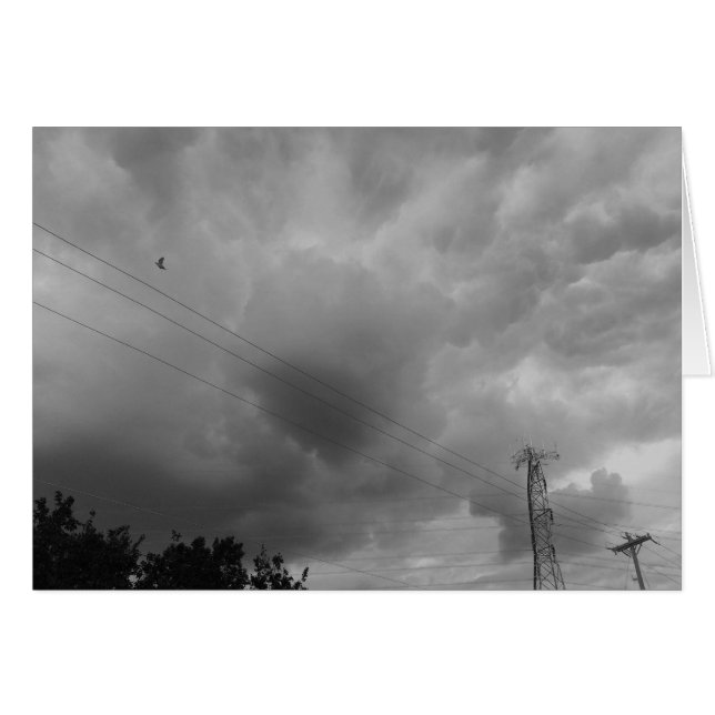 Fåglar i Cloudscape / Noir Hälsningskort (Framsidan Horizontal)