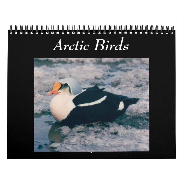 Fåglar i den arktiska fotokalendern Alaska Kalender (Omslag)