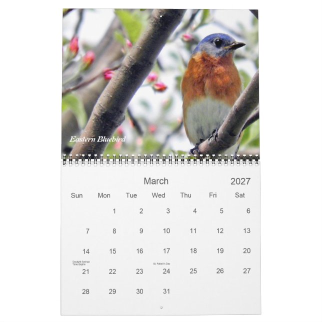 Fåglar i din Backyard Fotografi Kalender (Mar 2027)