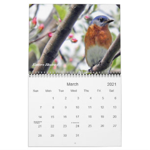 Fåglar i din Backyard Fotografi Kalender