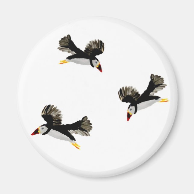 Fåglar i Flight Coastal Bird Art Magnet (Framsidan)