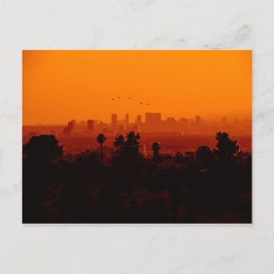 Fåglar i Flykt (Los Angeles, CA) Vykort